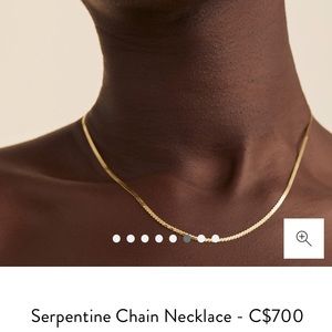 Mejuri 18” Serpentine Chain Necklace